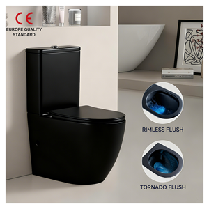 CE Matte Black Luxury Round Two-Piece Commode